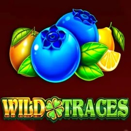 Play the Wild Traces slot by Amusnet Interactive on Wild Robin Casino